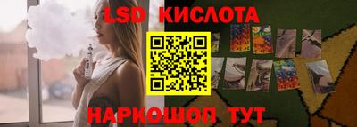 spice Кингисепп