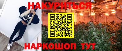 spice Кингисепп