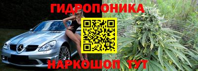 spice Кингисепп
