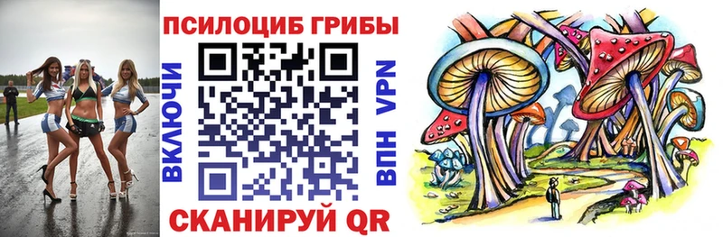 Псилоцибиновые грибы Cubensis  Минусинск 