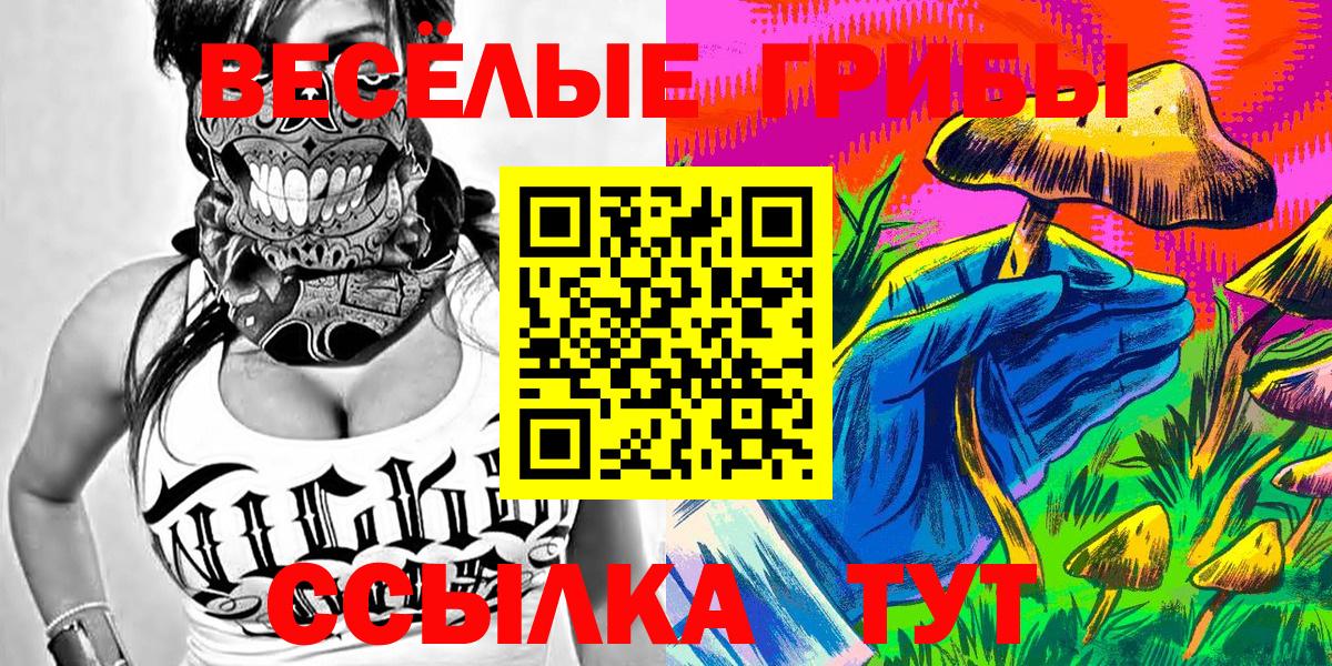 Галлюциногенные грибы Magic Shrooms  Вход с VPN  купить наркоту  Минусинск 